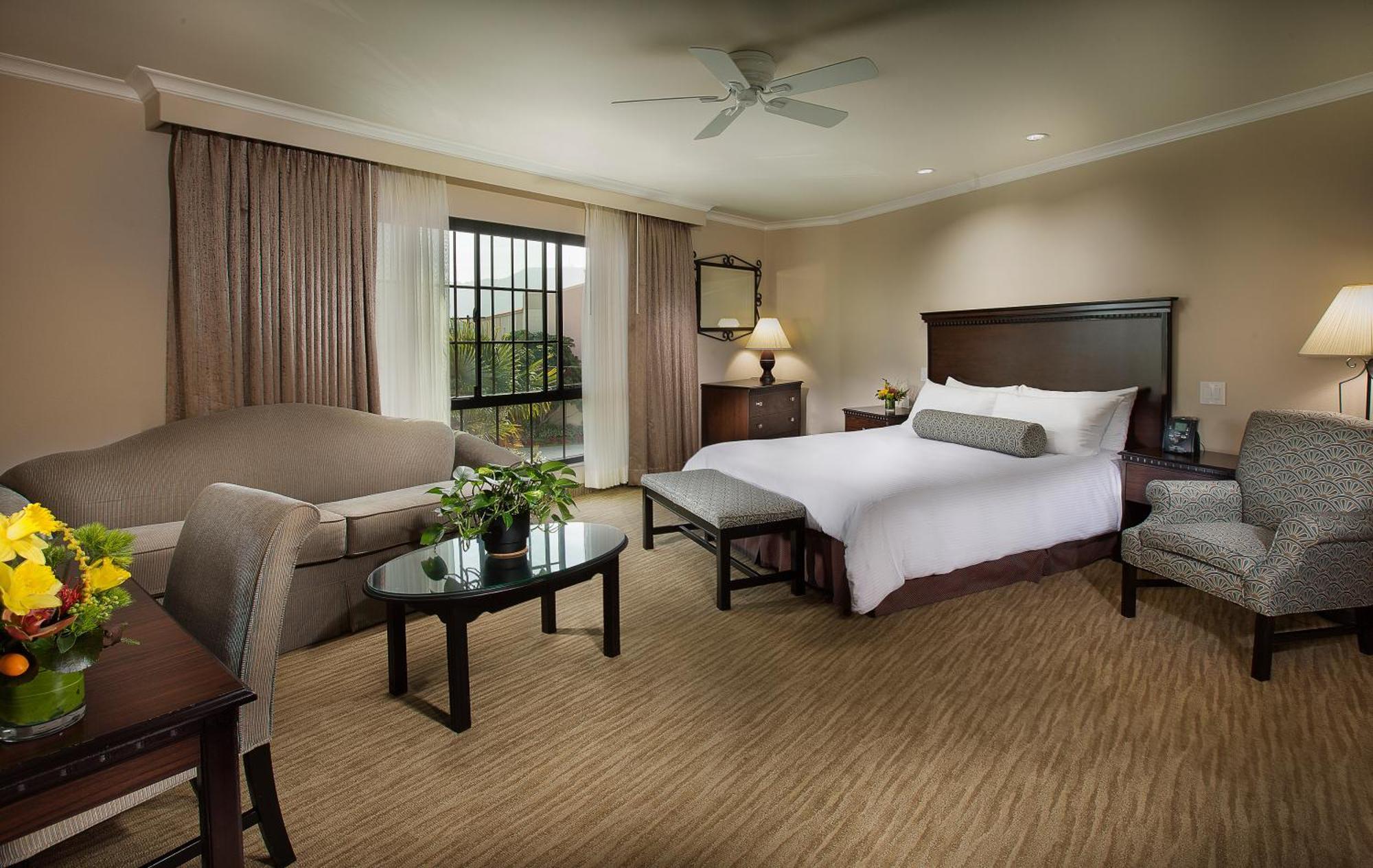 Junior Suite,1276042798:JPEG